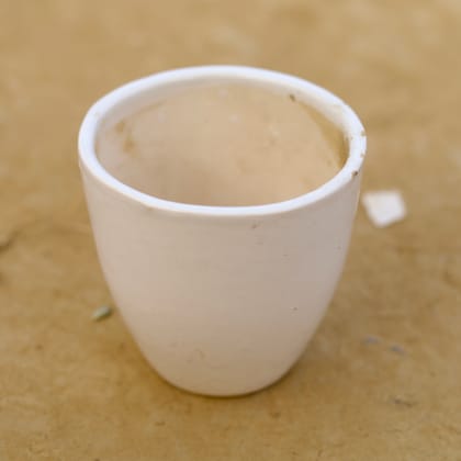 Buy 4 Inch Classy White Cup Ceramic Pot Online | Urvann.com