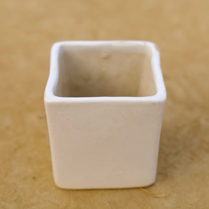 Buy 4 Inch Classy White Square Ceramic Pot Online | Urvann.com