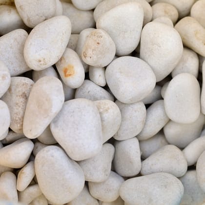 Buy Decorative White Big Pebbles - 1 Kg Online | Urvann.com