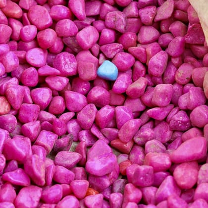 Buy Decorative Small Pink Pebbles - 1 Kg Online | Urvann.com