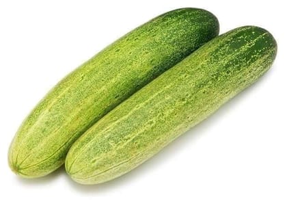 Buy Cucumber / Kheera seed - Excellent Germination Online | Urvann.com