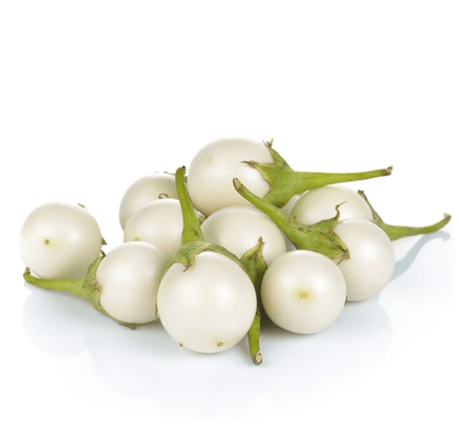 Buy Brinjal White Round Seeds - Excellent Germination Online | Urvann.com