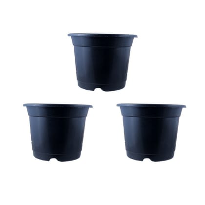 Buy Set of 03 - 8 Inch Black Nursery Pot Online | Urvann.com