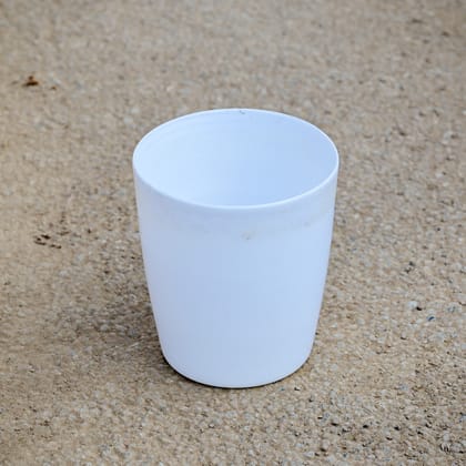 Buy 5 Inch White Cylindrical Premium Plastic Pot Online | Urvann.com