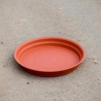 Buy 12 Inch Red Plastic Tray / Plate Online | Urvann.com