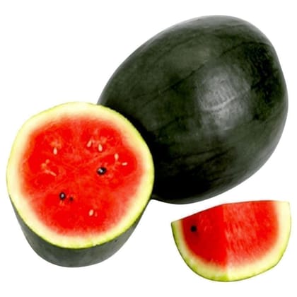 Buy Watermelon Round Seeds - Excellent Germination  Online | Urvann.com