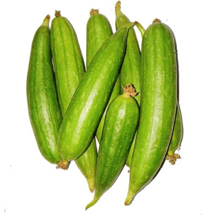 Buy Ridge Gourd / Dhari Tori Seeds - Excellent Germination Online | Urvann.com Ridge Gourd / Dhari Tori Seeds - Excellent Germination