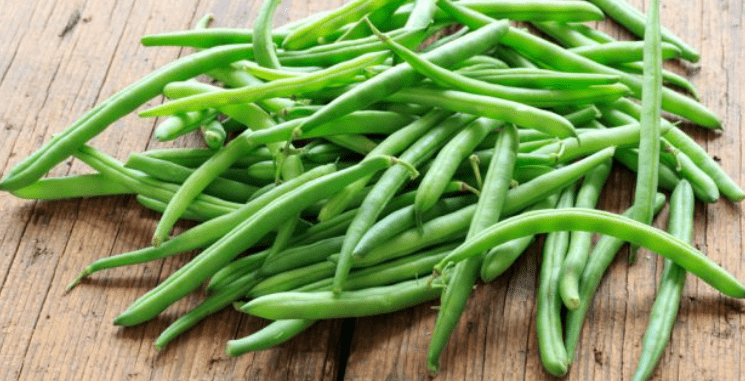 Buy Beans seeds - Excellent Germination Online | Urvann.com Beans seeds - Excellent Germination