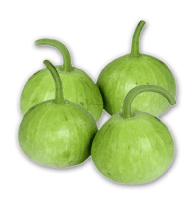 Buy Bottle gourd / Lauki Round Green Seeds - Excellent Germination Online | Urvann.com