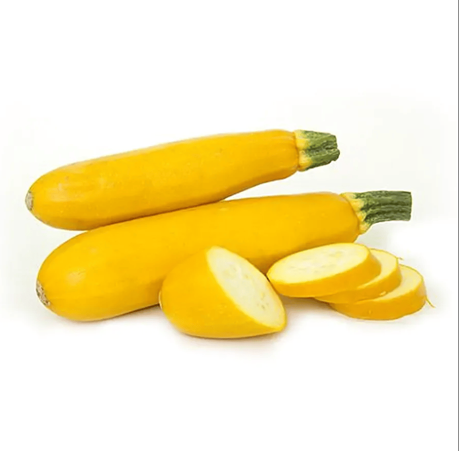 Squash Yellow / Zucchini - Excellent Germination