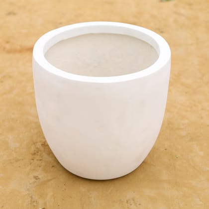 Buy 10 Inch Classy White Cup Fiberglass Planter Online | Urvann.com