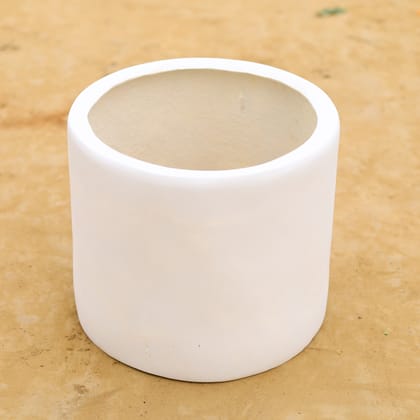 Buy 10 Inch Classy White Cylindrical Fiberglass Planter Online | Urvann.com