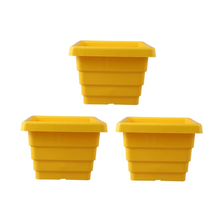 Set of 03 - 4 Inch Yellow Premium Orchid Square Plastic Pot