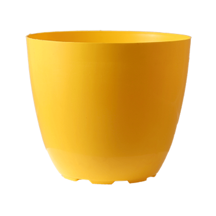 6 Inch Yellow Premium Orchid Round Plastic Pot