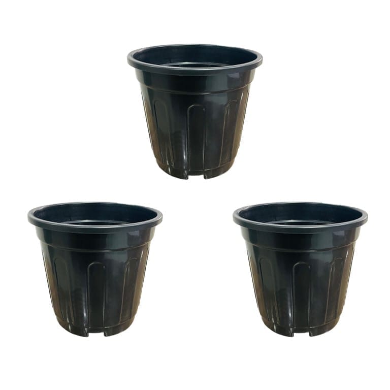 Set of 03 - 6 Inch Black Super Nursery Pot