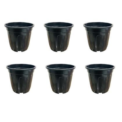 Buy Set of 06 - 6 Inch Black Super Nursery Pot Online | Urvann.com