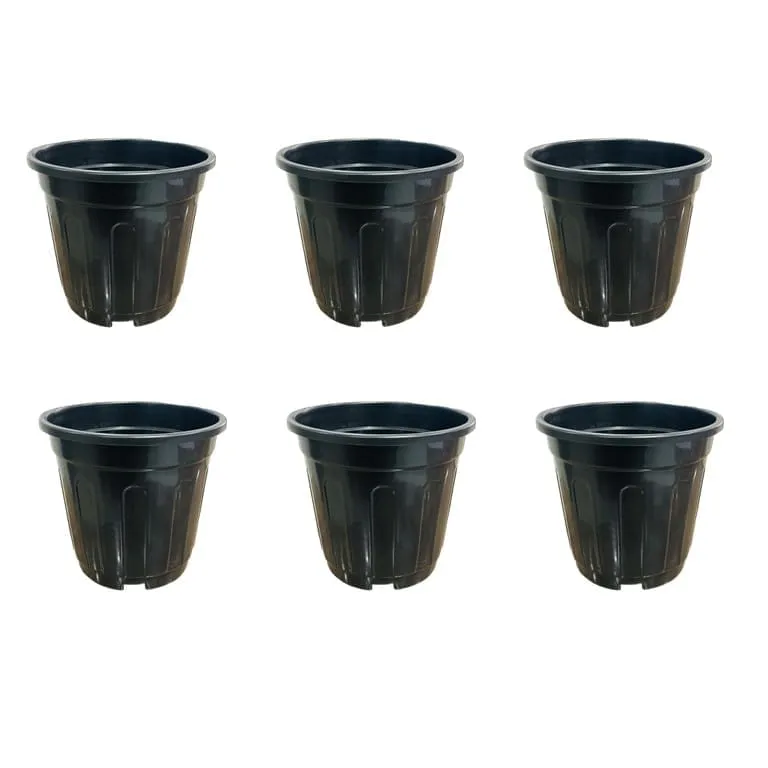 Set of 06 - 6 Inch Black Super Nursery Pot