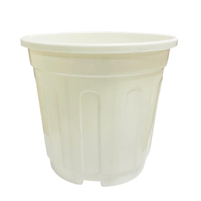 Free Next Day Delivery 6 Inch White Super Nursery Pot