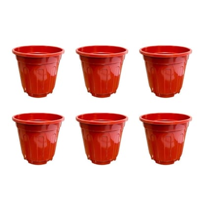 Buy Set of 06 - 6 Inch Red Super Nursery Pot Online | Urvann.com