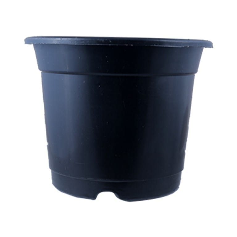 8 Inch Black Nursery Pot