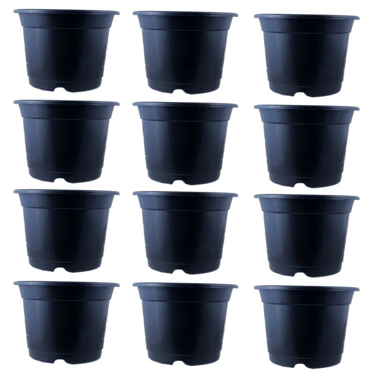 Set of 12 - 10 Inch Black Nursery Pot
