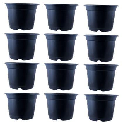 Buy Set of 12 - 10 Inch Black Nursery Pot Online | Urvann.com