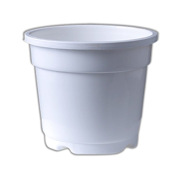 Buy 8 Inch White Nursery Pot Online | Urvann.com 8 Inch White Nursery Pot