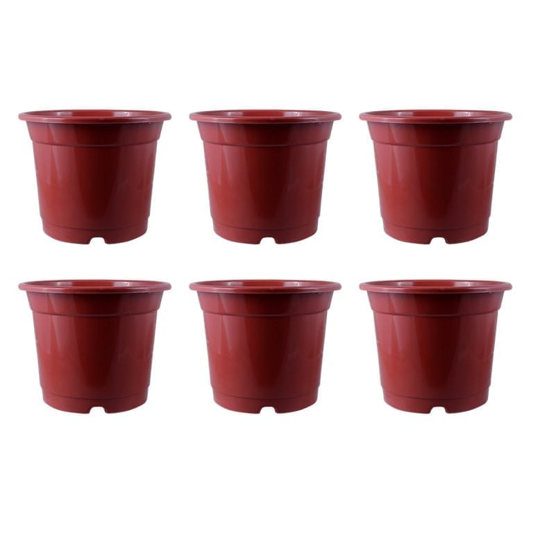 Set of 06 - 8 Inch Red Nursery Pot