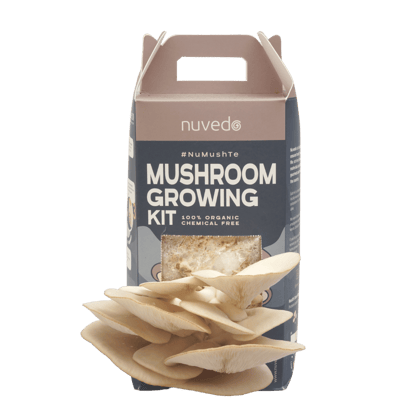 Buy High-Protein Oyster Mushroom Growing Kit Online | Urvann.com