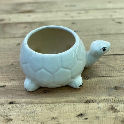 5 X 7 Inch White Elegant Turtle Designer Ceramic Pot