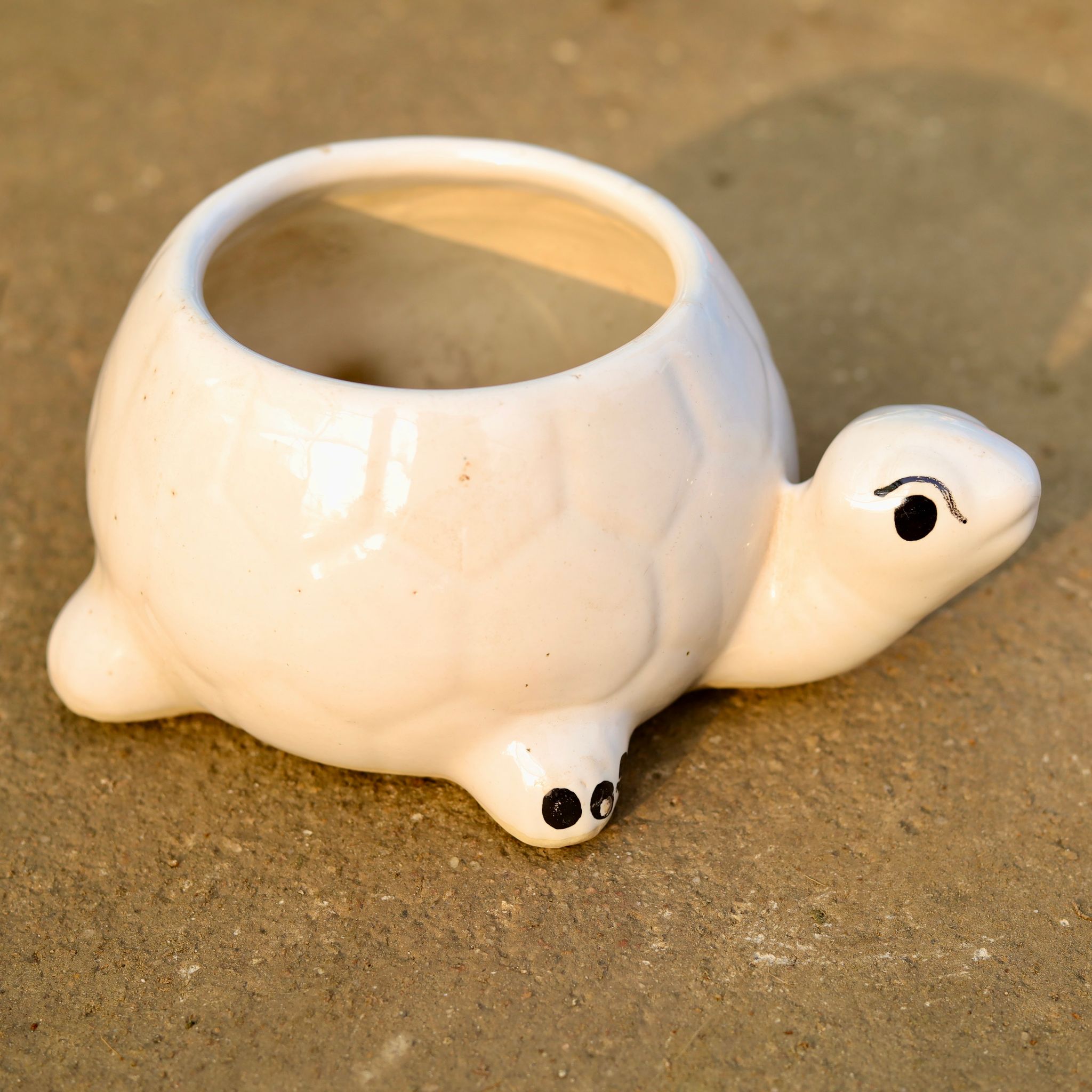 5 Inch Cute Turtle Designer Ceramic Pot (any colour)
