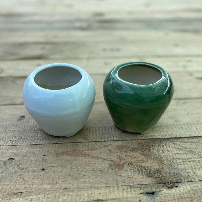 Buy Set of 2 - 4 Inch (White & Green ) Classy Ceramic Apple Pot Online | Urvann.com Set of 2 - 4 Inch (White & Green ) Classy Ceramic Apple Pot