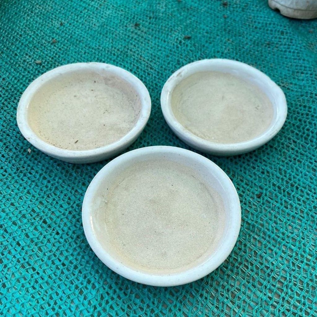 Set of 3 - 4 Inch White Ceramic Plates