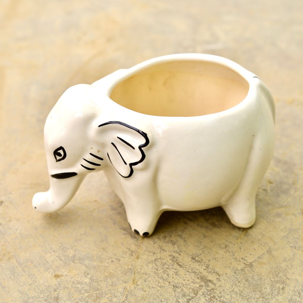 Buy 6 Inch Cute Elephant Designer Ceramic Pot (any colour & design) Online | Urvann.com 6 Inch Cute Elephant Designer Ceramic Pot (any colour & design)