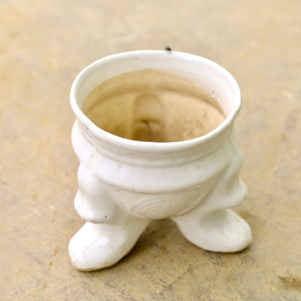 6 Inch Rabbit Designer Ceramic Pot (any colour & design)
