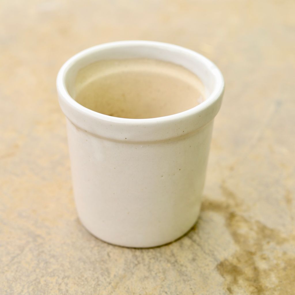 Buy 4 Inch Classy White Glass Ceramic Pot (any design) Online | Urvann.com 4 Inch Classy White Glass Ceramic Pot (any design)