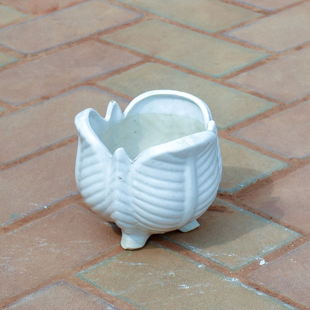 5 Inch Flower Legged Designer Ceramic Pot (any colour & design)