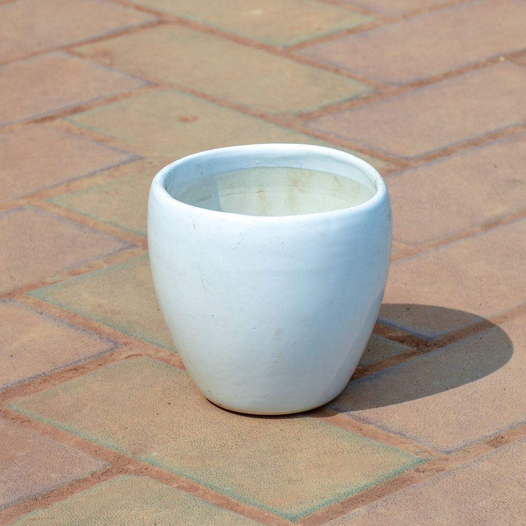 5 Inch Classy White Cup Ceramic Pot