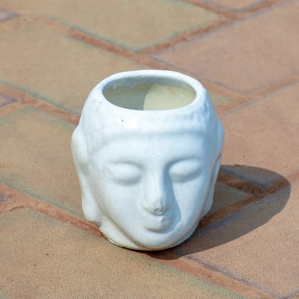 Buy 5 Inch Classy White Buddha Designer Ceramic Pot Online | Urvann.com