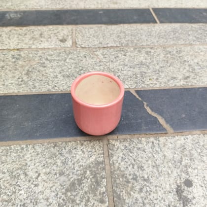 Buy 3 Inch Classy Cylindrical Ceramic Pot (any colour) Online | Urvann.com
