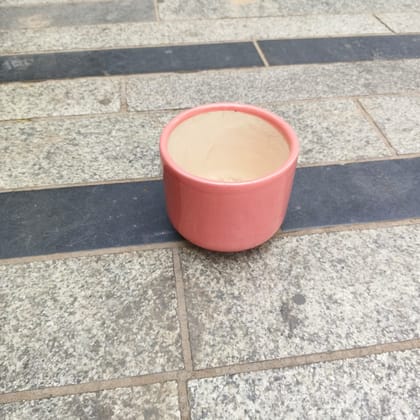 Buy 5 Inch Classy Cylindrical Ceramic Pot (any colour) Online | Urvann.com