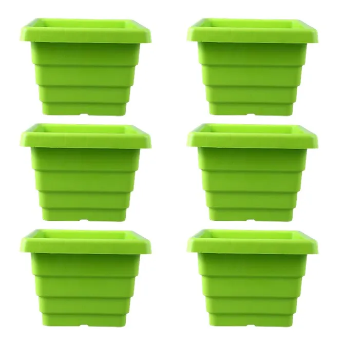 Set of 06 - 10 Inch Green Premium Orchid Square Plastic Pot