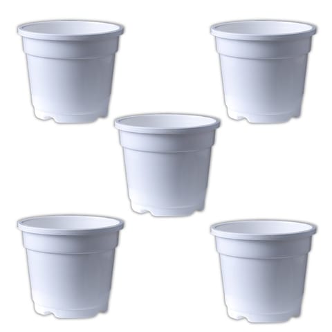Set of 05 - 10 Inch White Nursery Pot