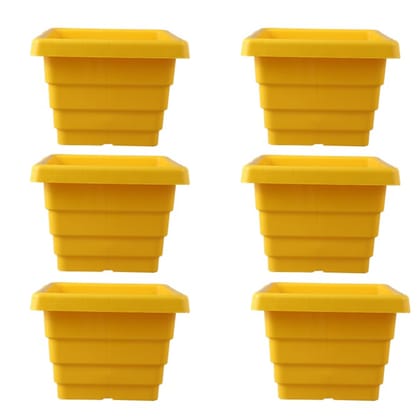 Buy Set of 06 - 6 Inch Yellow Premium Orchid Square Plastic Pot Online | Urvann.com