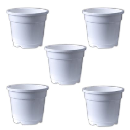 Buy Set of 05 - 8 Inch White Nursery Pot Online | Urvann.com
