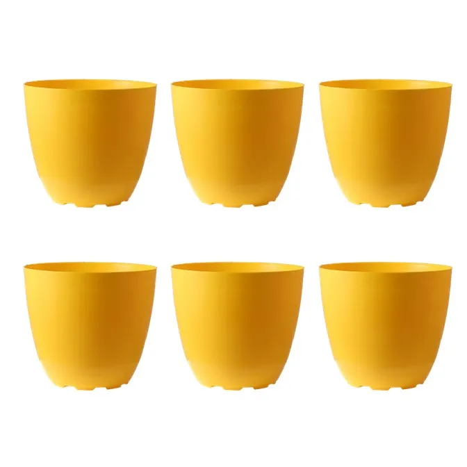 Set of 06 - 6 Inch Yellow Premium Orchid Round Plastic Pot