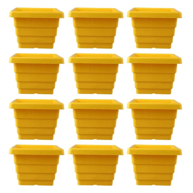 Set of 12 - 4 Inch Yellow Premium Orchid Square Plastic Pot