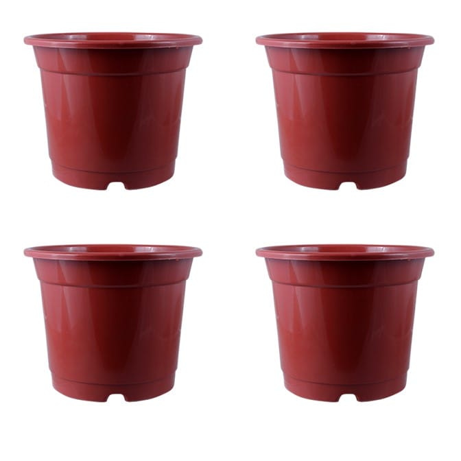 Buy Set of 04 - 8 Inch Red Nursery Pot Online | Urvann.com Set of 04 - 8 Inch Red Nursery Pot