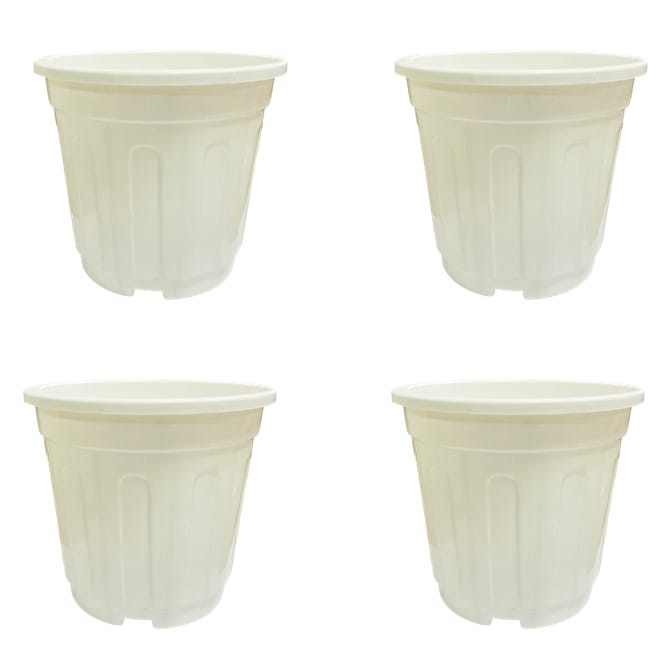 Buy Set of 04 - 6 Inch White Super Nursery Pot Online | Urvann.com Set of 04 - 6 Inch White Super Nursery Pot