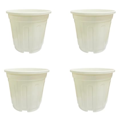Buy Set of 04 - 6 Inch White Super Nursery Pot Online | Urvann.com